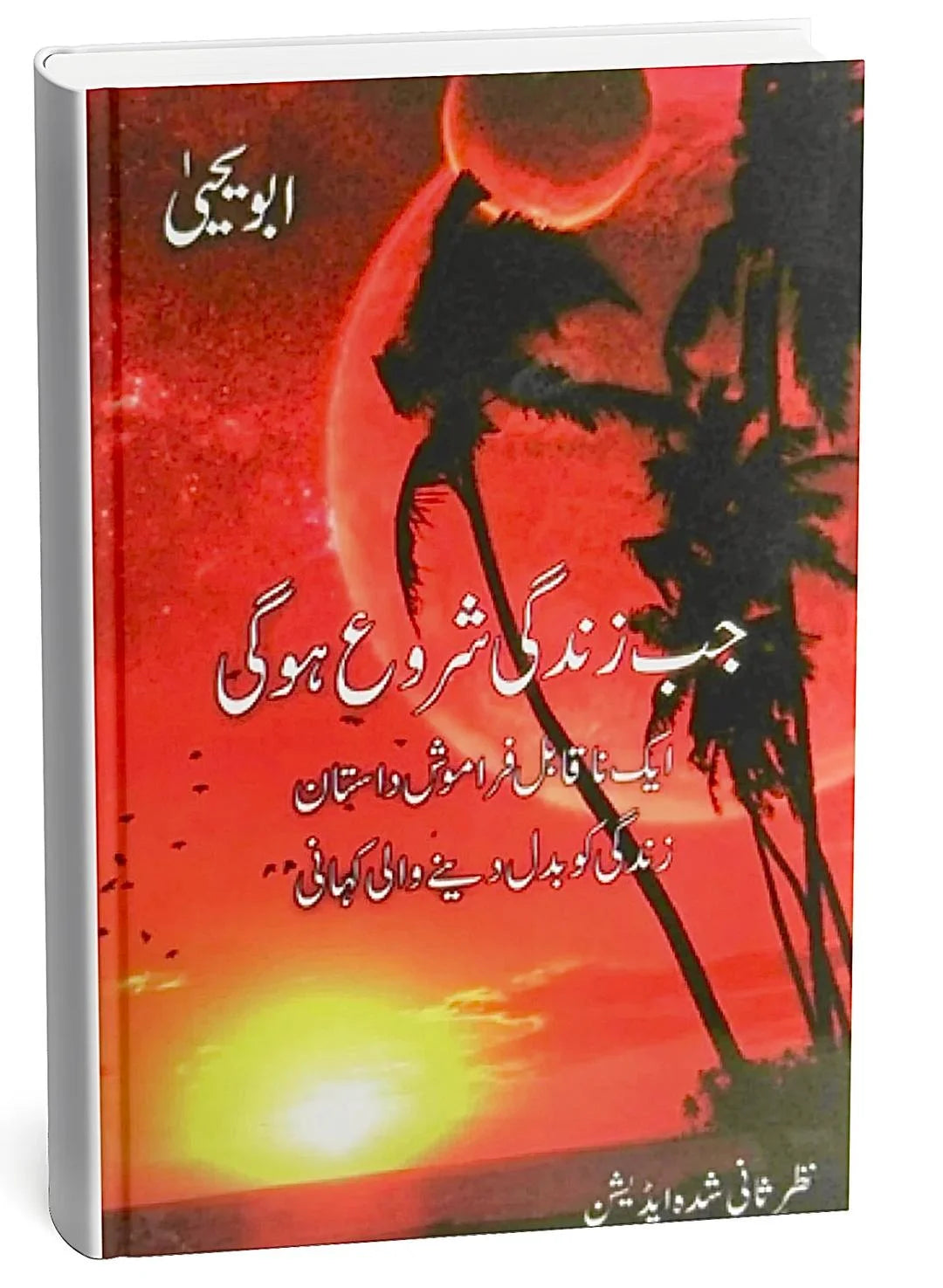 Jab Zindagi Shuru Hogi By Abu Yahya