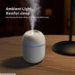 Air Humidifier